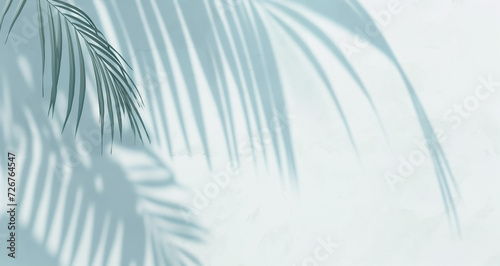 Palm leaves natural shadow overlay isolated on white textured wall. Background for product presentation, backdrop and mockup	