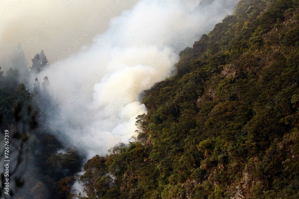 incendios, forestales, Bogotá