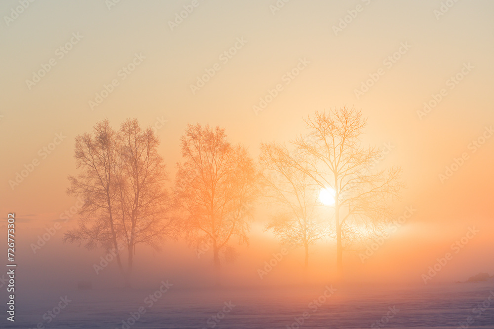 霧氷と朝日