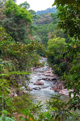 Cascading waterfall and landscape with a mountain stream in the rainforest. Serene natural scenery with lush greenery  flowing water  and a tranquil atmosphere.