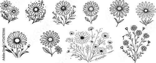 hand drawing Set of daisy flowers, 10 styles without background isolated. vector illustration.