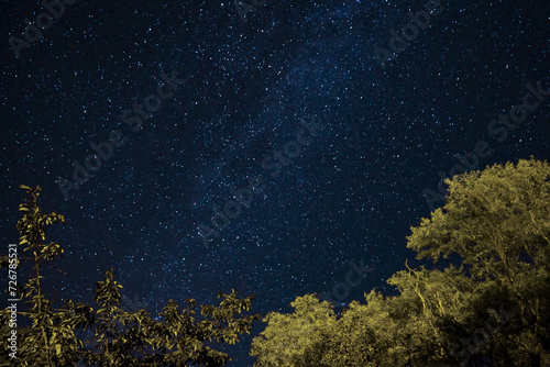 Starry night sky with tree foliage in foreground. The stars are numerous and densely scattered, clear and unpolluted view of the cosmos, a cosmic spectacle photo