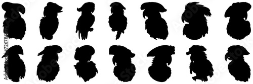 Pirate parrot silhouettes set, large pack of vector silhouette design, isolated white background.