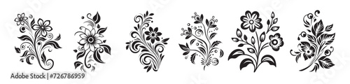 Set of flower ornaments shape vector graphics
 photo