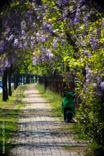 Spring wisteria flowers on a long street stretching into the distance. an electric scooter is parked near the fence. Spring background, vertical photo.