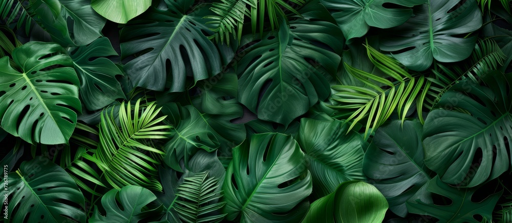 Creative layout made of tropical leaves, representing the concept of nature in a summer forest. Creative layout made of tropical leaves, representing the concept of nature in a summer forest.