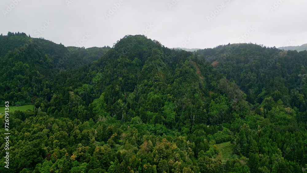 Green woodland mountain hills covered fresh trees under cloudy sky drone view