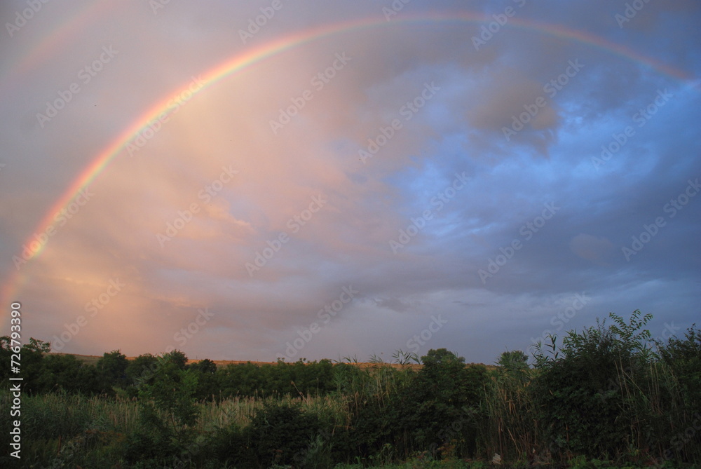 Naklejka premium Rainbow over the rural landscape. Temperate steppes with hilly terrain. Trees, bushes, flowers and herbs grow below. Above the ground there is a sky with gray clouds against which a rainbow glows.