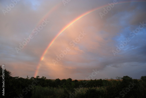 Rainbow over the rural landscape. Temperate steppes with hilly terrain. Trees, bushes, flowers and herbs grow below. Above the ground there is a sky with gray clouds against which a rainbow glows.