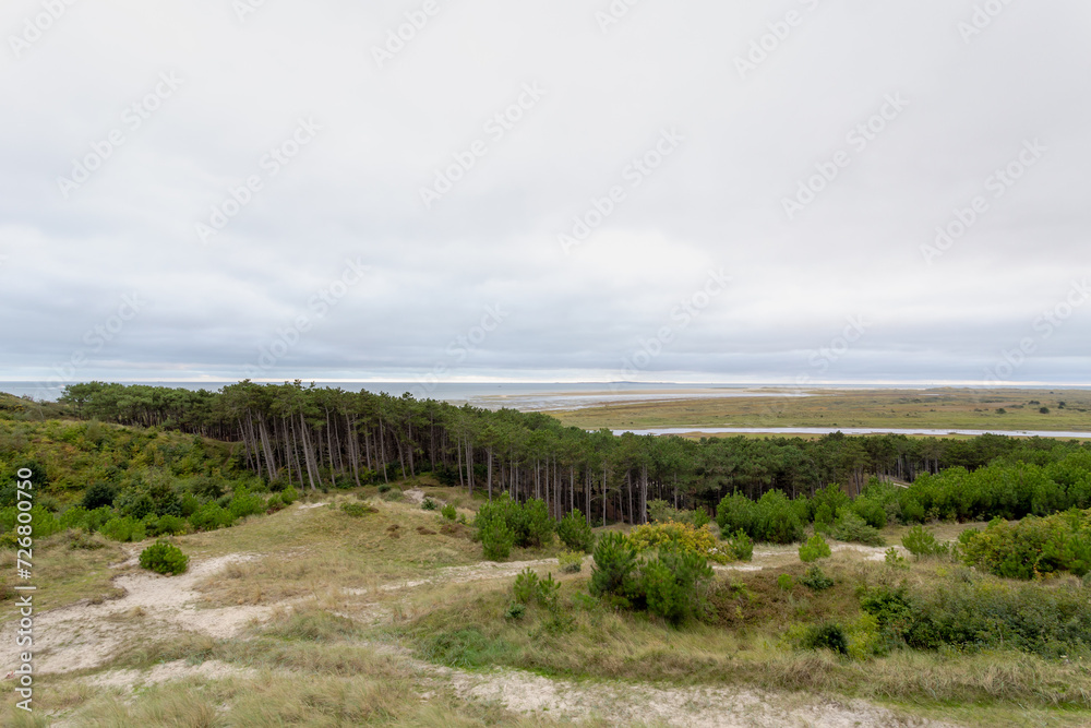 Landscape view of pine forest and dunes with white grey clouds in summer, Marshland and sand dike on the Dutch Wadden Sea island Terschelling, A municipality and an island in Friesland, Netherlands.