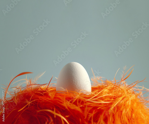 A fresh white egg in an orange nest with detailed feather rendering, in light sky-blue color, in a contemporary photography style, award winning. photo