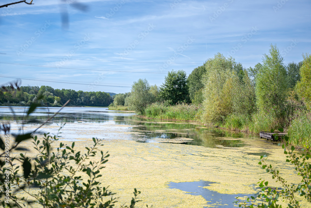 Fototapeta premium plan d'eau au soleil au printemps avec une petite forêt