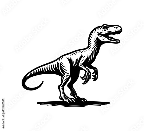 Fototapeta Naklejka Na Ścianę i Meble -  Velociraptor hand drawn vector dinosaur graphic