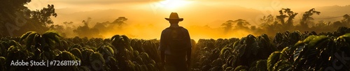 man with hat walking through field of coffee crops