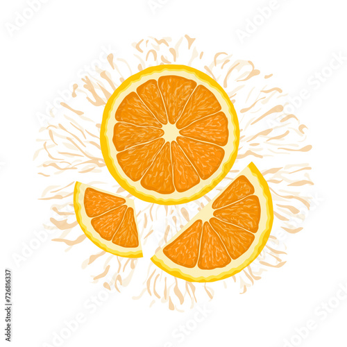 Vector illustration of a colorful orange, half and slices. Hand drawn. Isolated on white background.