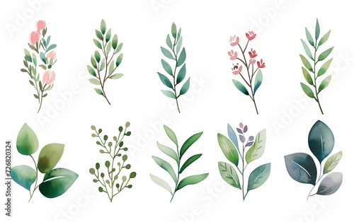 Collection of green watercolor foliage plants clipart on white background. Botanical spring summer leaves illustration. Suitable for wedding invitations  greeting cards  frames and bouquets.