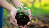 Close up photo of woman hand holding young plant with soil