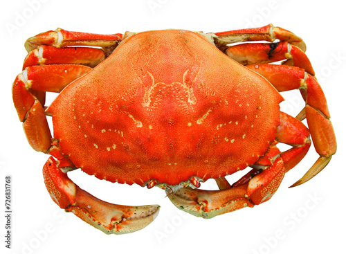 Boiled red beautiful crab without background for your fish restaurant or cafe menu design. PNG format. Very high quality photo. © Sensey3242