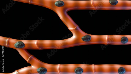 Photos isolated cardiac muscle, also known as heart muscle or myocardium, is a type of muscle tissue that makes up the heart, 3d rendering