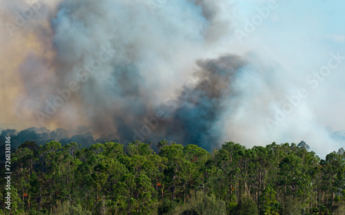 Valokuva Aerial view of large wildfire burning severely in Florida jungle woods