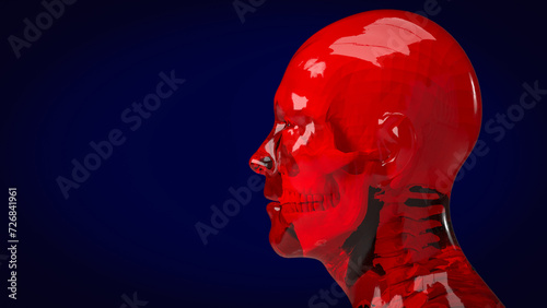 The human and skull for education or sci concept 3d rendering.