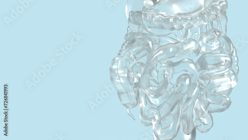 The Human viscera on blue background for health or sci concept 3d rendering.