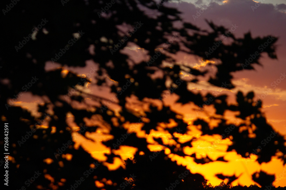 late sunset over the forest lake. Beautiful sunset late sunset over the forest lake. Beautiful sunset