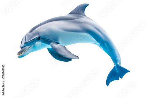 Cute dolphin jumping isolated on transparent background © MVProductions