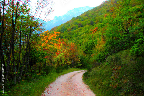 Reinvigorating view at Eremo di Soffiano near Sarnano in the Sibillini Mountains, refreshing green and autumn-colored vegetation beside a gravel road in the foreground, impressive ridges in the back