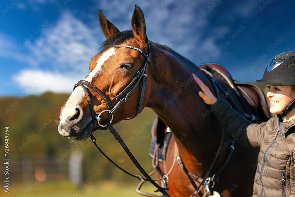 Obraz premium Horse head portraits in front of a blue sky and a rider standing next to it..