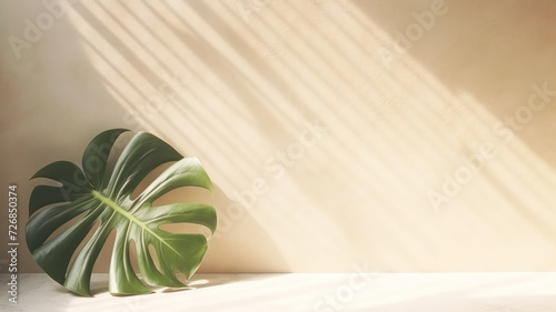 Minimalistic light background with blurred Monstera Deliciosa plant pot shadow on a light wall. Beautiful background for presentation with with marble floor