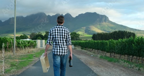 Wallpaper Mural A farmer man walks through a field and vineyard near the mountains and holds a box. Confident mature farmer in agricultural field. Agro, happy or farmer on countryside field for weather Torontodigital.ca