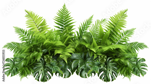 Dense Fern and Tropical Leaves Background