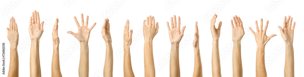 Raised hand. Multiple images set of female caucasian hand with french manicure showing Raised hand gesture Raised hand. Multiple images set of female caucasian hand with french manicure showing Raised hand gesture