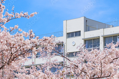 Cuadro en lienzo 学校と桜