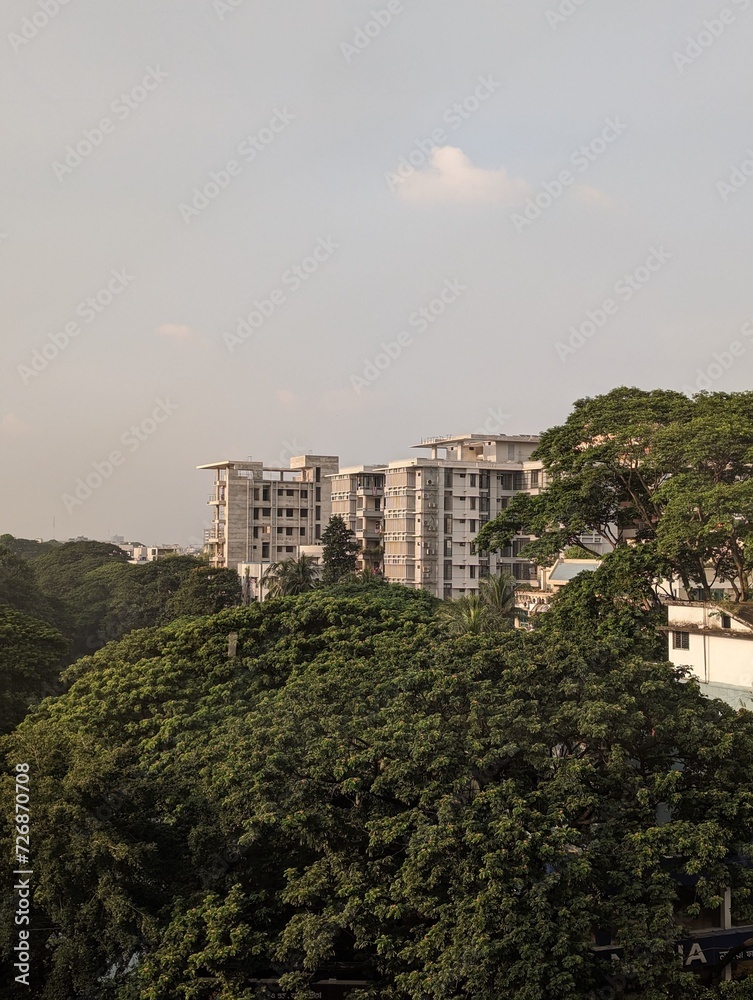A beautiful landscape of a vast, clear, blue-sky up above with dense, green trees and tall buildings below. A beautiful landscape of a vast, clear, blue-sky up above with dense, green trees and tall buildings below.