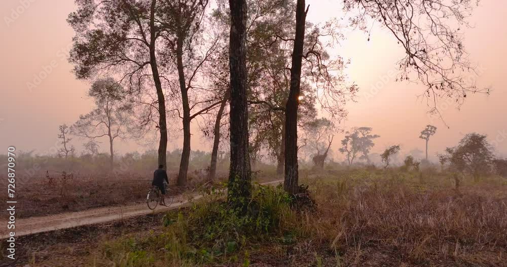 Drone shot of local Nepali male cycling on lands of Terai region, trees and grasses greenery forest view cinematography golden hour sky, pink sky adds beauty to the peaceful shot 4K Drone shot of local Nepali male cycling on lands of Terai region, trees and grasses greenery forest view cinematography golden hour sky, pink sky adds beauty to the peaceful shot 4K