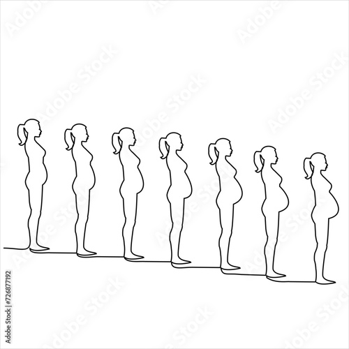 continuous line drawing pregnant woman vector illustration