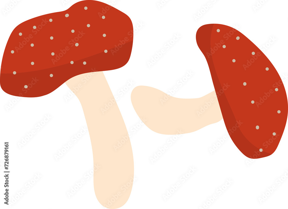mushroom illustration mushroom illustration