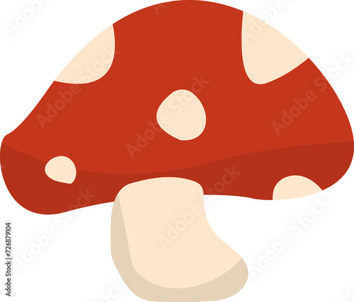 mushroom illustration photo