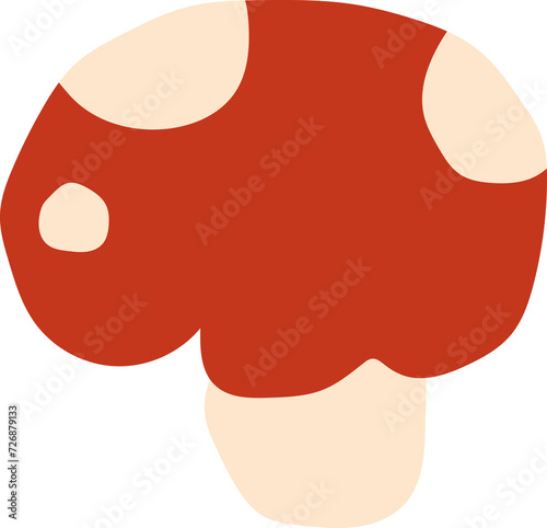 mushroom illustration photo