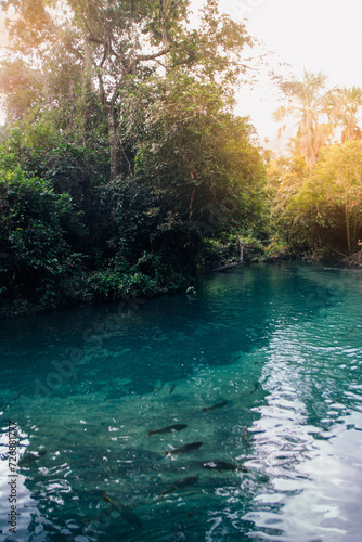 As águas naturais de Nobres no estado do Mato Grosso no Brasil.