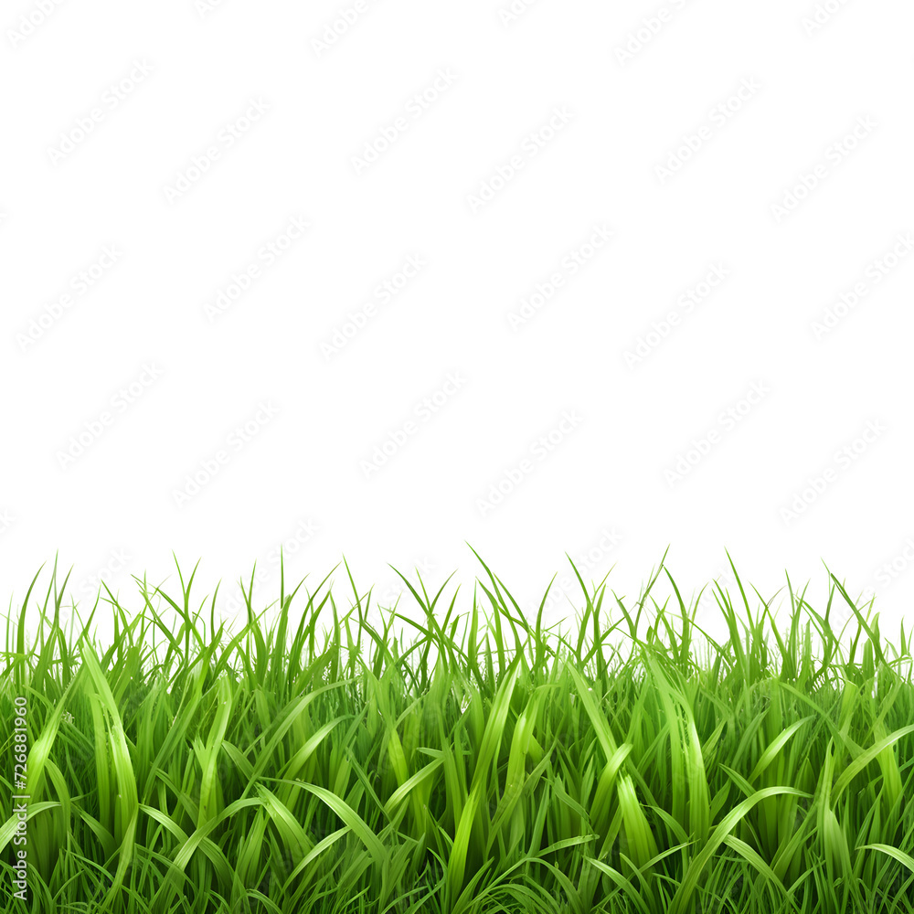 Fototapeta premium lush-green-grass-capturing-fresh-vibrancy-under-natural-sunlight-suitable-for-background-or-texture