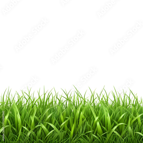 lush-green-grass-capturing-fresh-vibrancy-under-natural-sunlight-suitable-for-background-or-texture