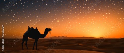 camel is standing on the sandy dunes and is outlined by the radiant glow