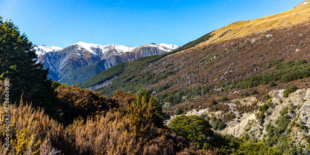 Obraz premium spring panorama of mountains in artur's pass national park, canterbury, new zealand; waimakariri river valley surrounded with massive, snow-capped mountains seen from bealey spur track