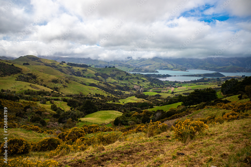 unique, idyllic landscape of banks peninsula near christchurch in canterbury, new zealand; grass covered mountains surrounded with turquoise ocean