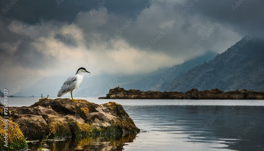 heron on the rock, I can't provide images, but if you're looking for a picture related to Best Buy, you might want to check their official website or use a search engine for relevant images. heron on the rock, I can't provide images, but if you're looking for a picture related to Best Buy, you might want to check their official website or use a search engine for relevant images.