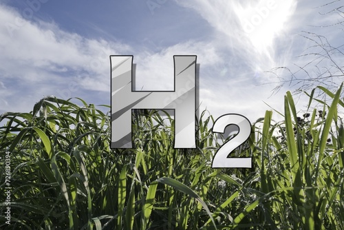 Hydrogen molecule (H2) on a background of young green grass.  Hydrogen is one of the main structural elements of life on Earth.
