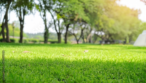 Close-up green grass field with tree blur park background, Spring and summer